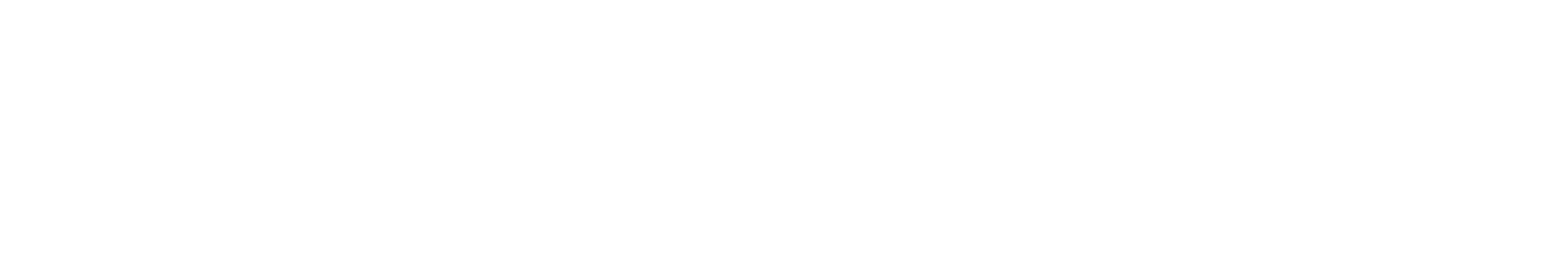 PrimePay Logo - White (1)