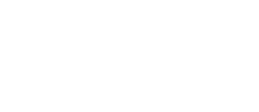 100 percent online